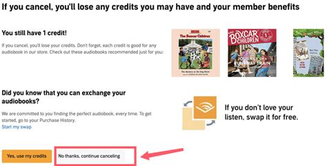 Can I Cancel Audible and Keep My Books? An Inside View into Digital Book Ownership