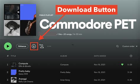 can you download music from spotify to your computer: Exploring the Limits and Possibilities of Music Streaming